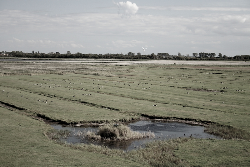 Killikus® Fotographie Killikus® Fotographie